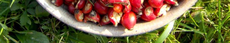 Banner profilu