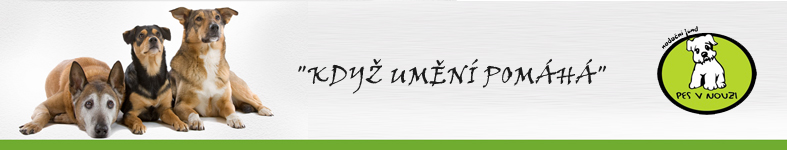 Banner profilu