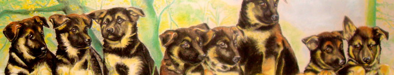 Banner profilu