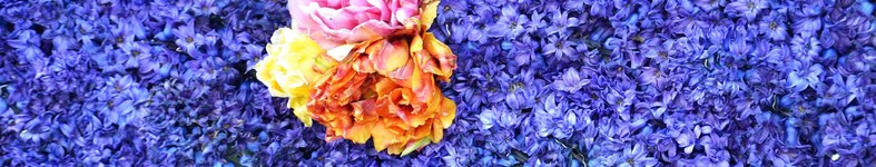 Banner profilu