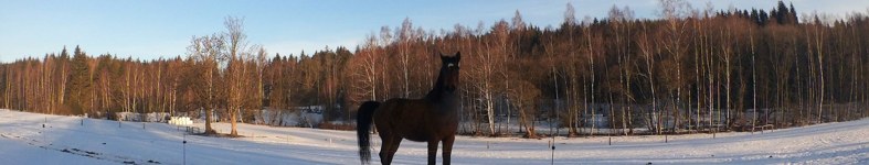 Banner profilu