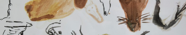 Banner profilu