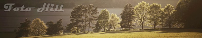 Banner profilu