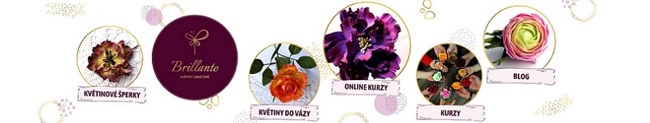 Banner profilu