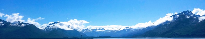 Banner profilu