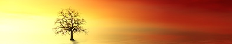 Banner profilu