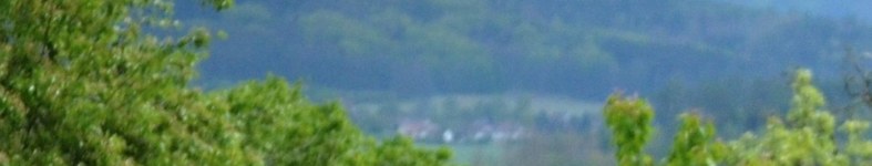Banner profilu