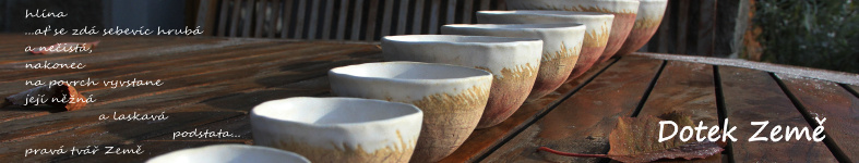 Banner profilu