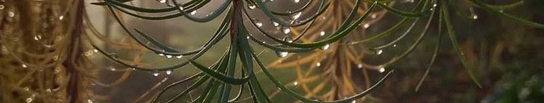 Banner profilu