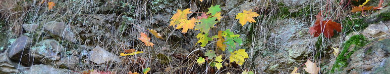 Banner profilu