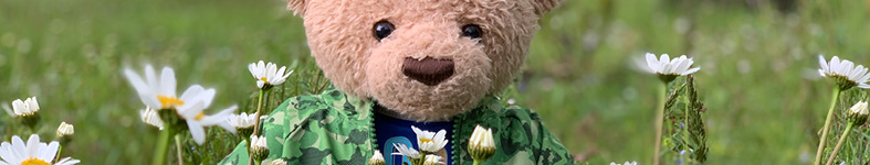 Banner profilu