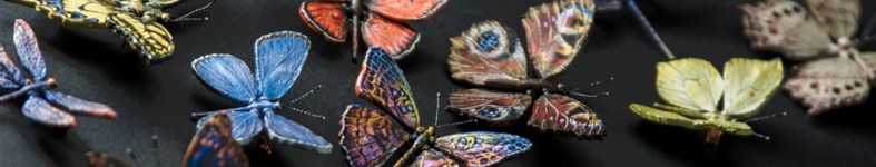 Banner profilu