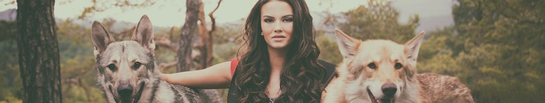 Banner profilu