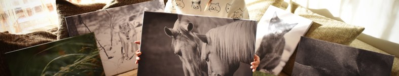 Banner profilu