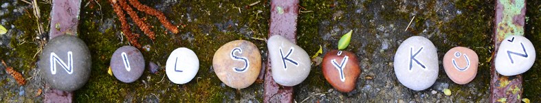 Banner profilu