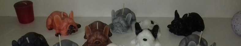 Banner profilu