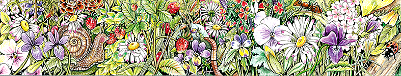 Banner profilu