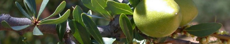 Banner profilu