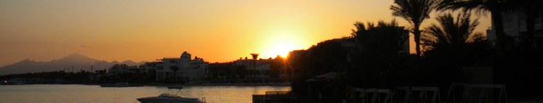 Banner profilu