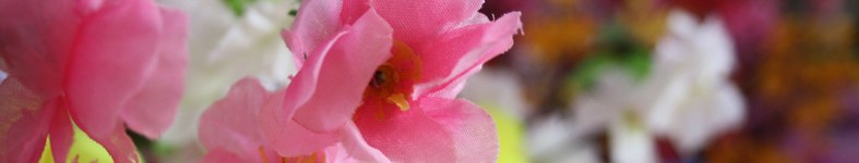 Banner profilu