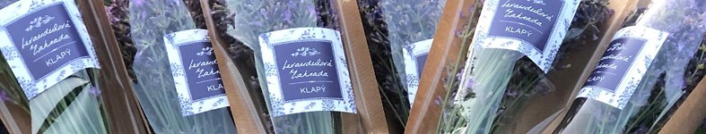 Banner profilu