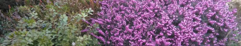 Banner profilu