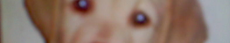 Banner profilu