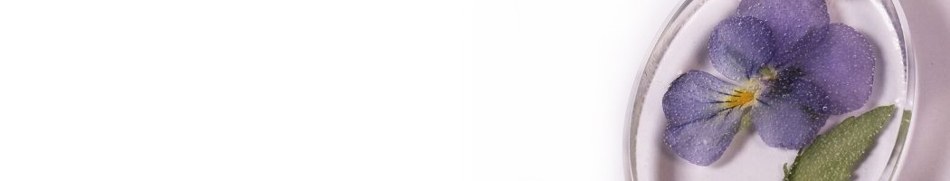 Banner profilu