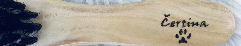 Banner profilu