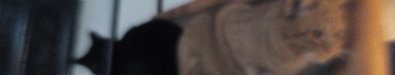 Banner profilu