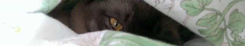 Banner profilu