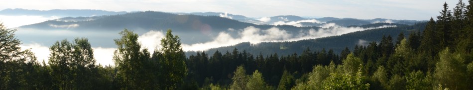 Banner profilu