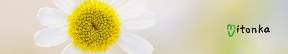 Banner profilu
