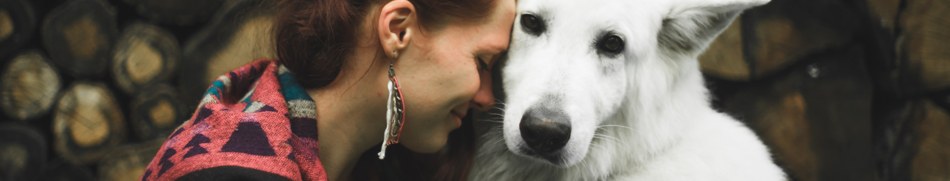 Banner profilu