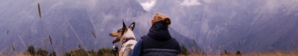 Banner profilu