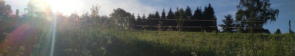 Banner profilu
