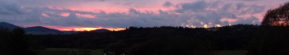 Banner profilu
