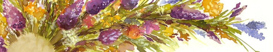 Banner profilu
