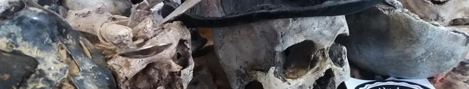Banner profilu