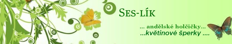 Banner profilu