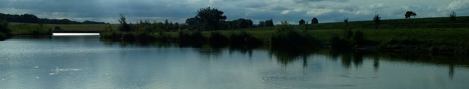Banner profilu