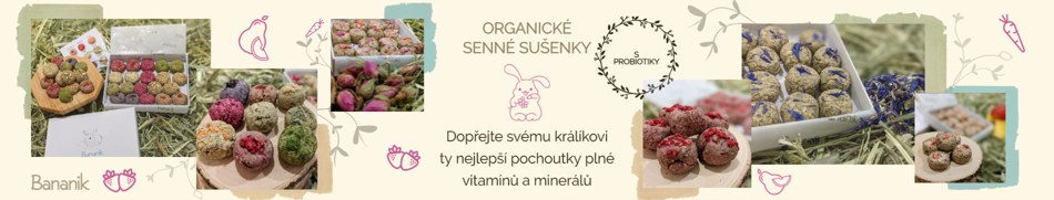 Banner profilu