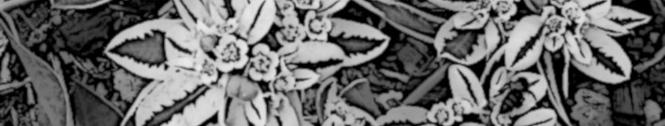 Banner profilu