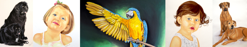 Banner profilu