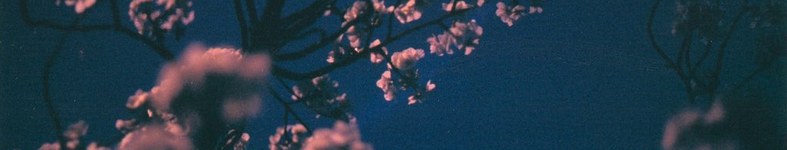 Banner profilu
