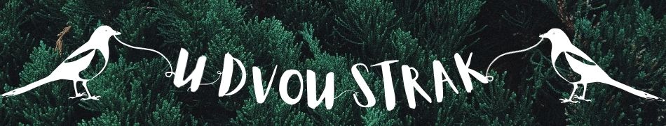 Banner profilu