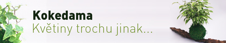Banner profilu