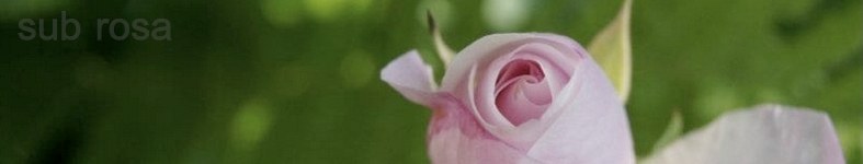 Banner profilu