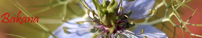 Banner profilu