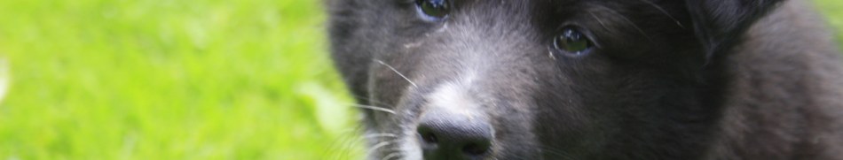 Banner profilu